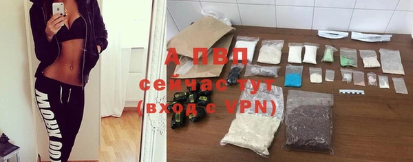 стаф Абаза