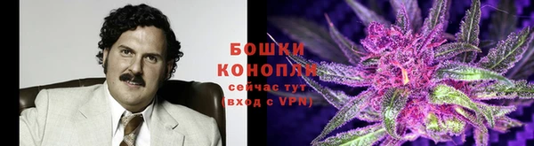 бошки Абинск