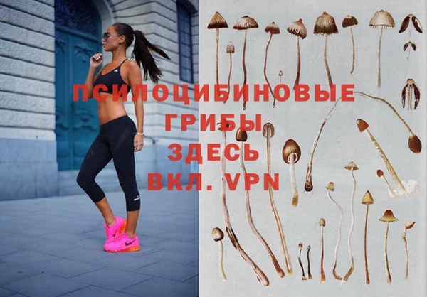 бошки Абинск
