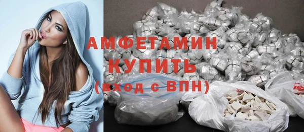 стаф Абаза