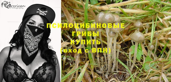 бошки Абинск