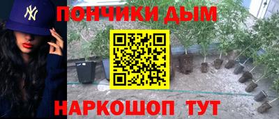 стафф Лесосибирск