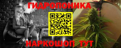 стафф Лесосибирск