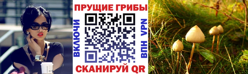 hydra ТОР Комсомольск-на-Амуре Галлюциногенные грибы ЛСД