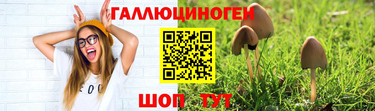 Галлюциногенные грибы прущие грибы  Вход с VPN  Псилоцибиновые грибы GOLDEN TEACHER  Комсомольск-на-Амуре 